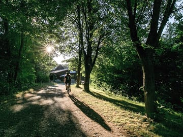 Cyclist on the main path