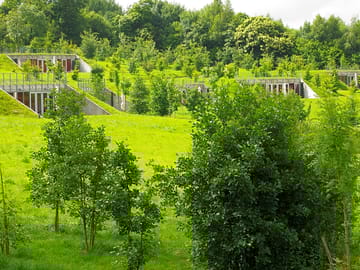 View of the landscaped site