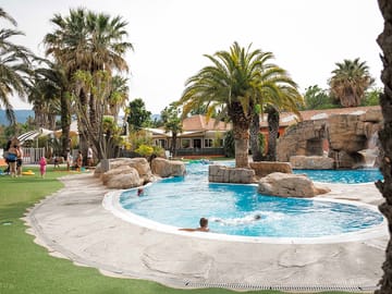 Palm trees by the pool