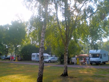 Large, partially shaded pitches