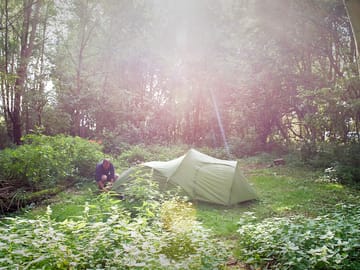 Spacious woodland pitches