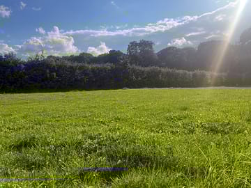 Campervan field