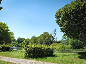 Pitch