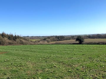 Spacious pitches