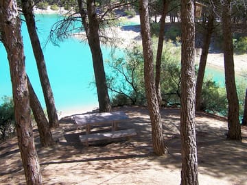 Pitches surrounded by pine trees