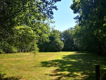 Sunny and shaded pitches