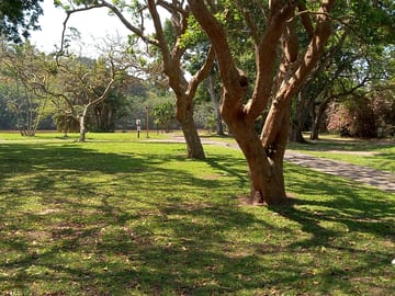 Plenty of shade under the trees