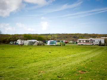 Plenty of room in the meadow