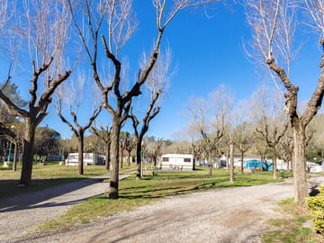 Plots in winter