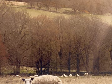 Fields all around