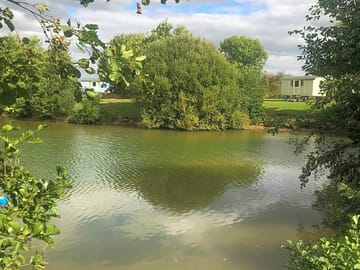 A hub for local wildlife