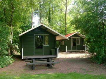 Cabins among the trees