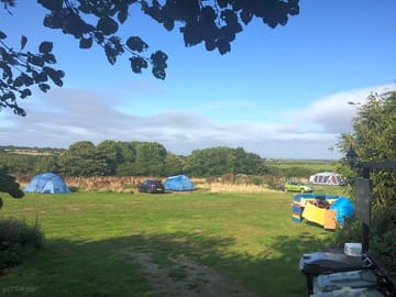Plenty of pitch space