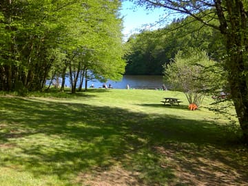 A bit of shade to enjoy a family picnic