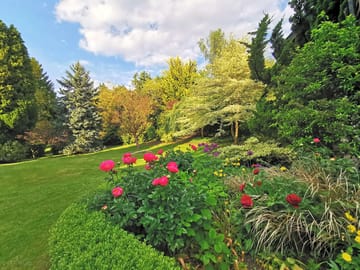Front garden