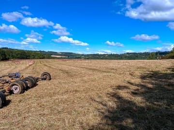 View over the field during grass cutting