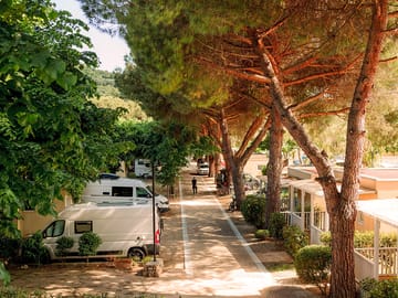 Pitches shaded by trees