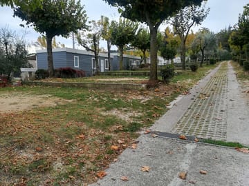 View of the pitches