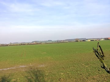 Views of the surroundings from the site