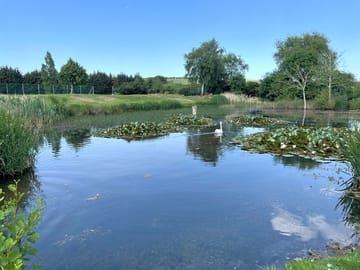 Golf course