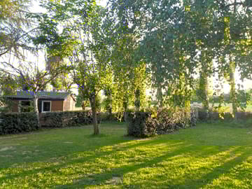 Grass pitches