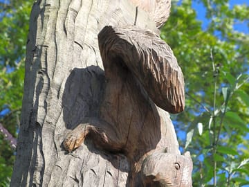 Our beautiful site even has wood carvings by matt crabb the uk chainsaw champion