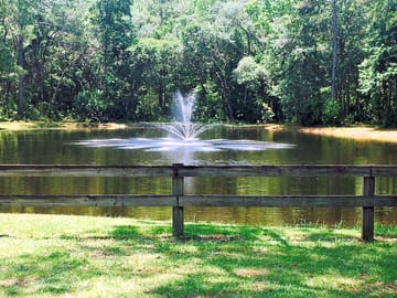 Fountain on pond