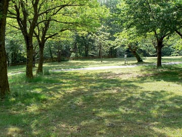 View of the pitches