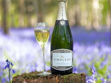 Wine tasting tours available