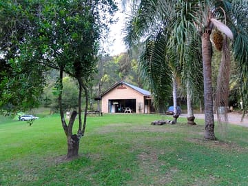 Lots of trees and grassy space