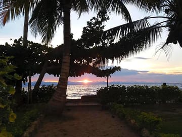 Sunset from the site
