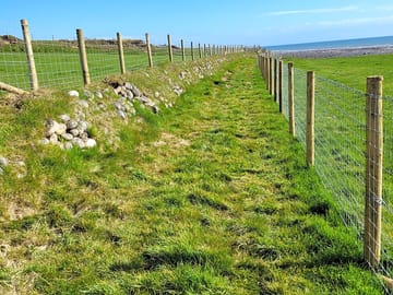 Path to the coast