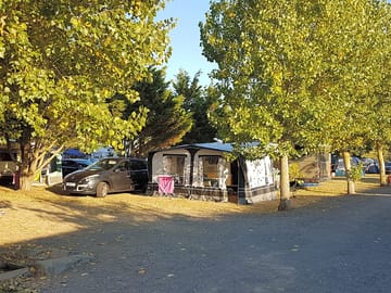 Pitch by trees