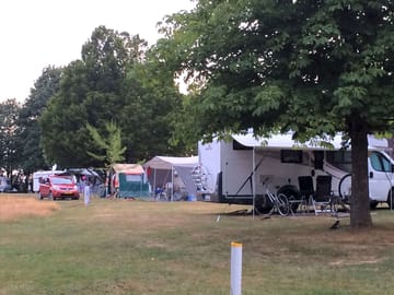 Large pitches among the trees