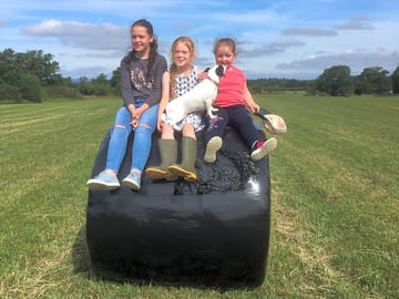 Head off on walks around the fields
