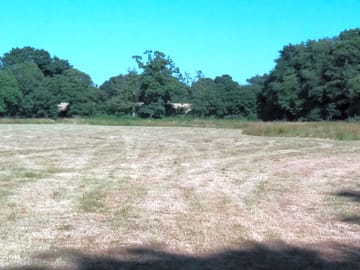 Spacious pitches