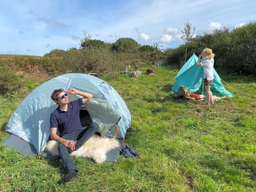 Wild grass pitches