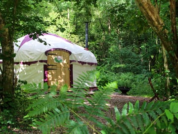 Woodland yurt set in its own private glade