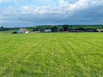 Camping field