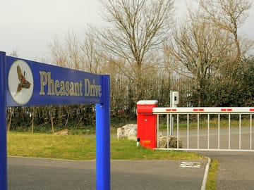 Pheasant drive