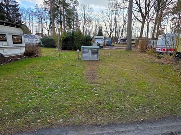 Pitch among the trees