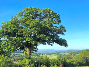 Views from the site