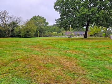 Non-electric grass pitches