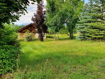Greenery around the site