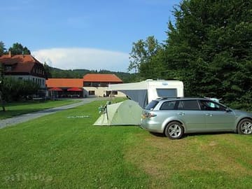 Pitches at the treeline