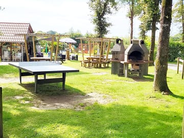 Barbecue and table tennis