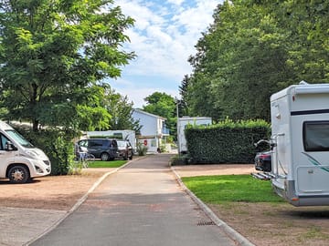 Pitches between the trees