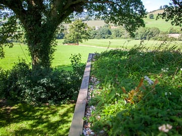 View from the cabin's living roof