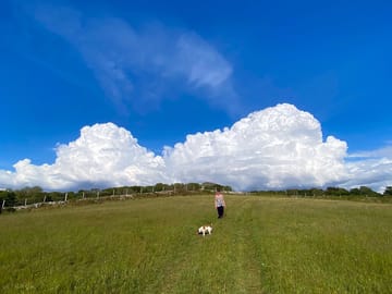 North field view