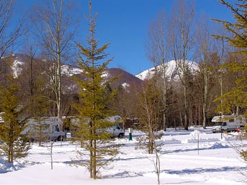 View from the site